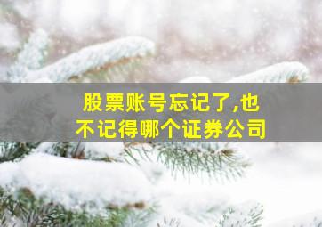 股票账号忘记了,也不记得哪个证券公司