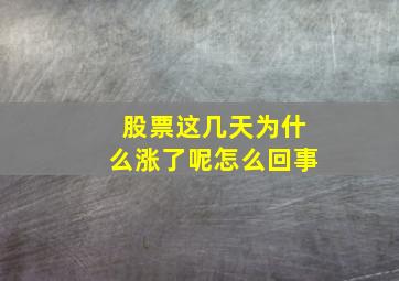 股票这几天为什么涨了呢怎么回事