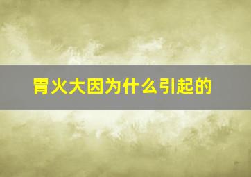 胃火大因为什么引起的