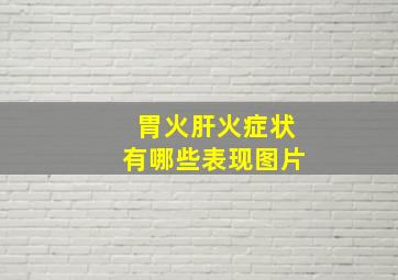 胃火肝火症状有哪些表现图片