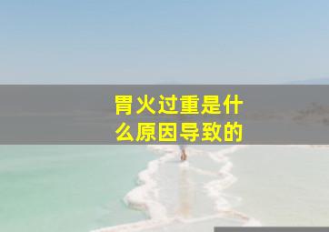 胃火过重是什么原因导致的