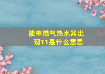 能率燃气热水器出现11是什么意思