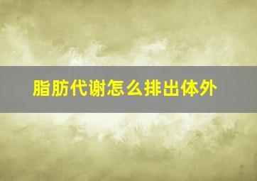 脂肪代谢怎么排出体外