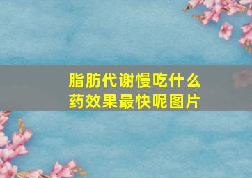 脂肪代谢慢吃什么药效果最快呢图片