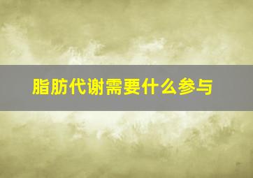 脂肪代谢需要什么参与