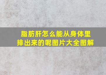 脂肪肝怎么能从身体里排出来的呢图片大全图解