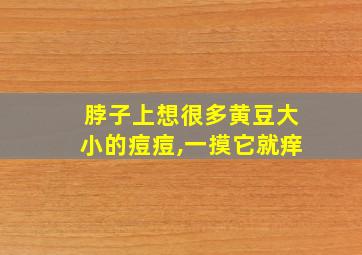 脖子上想很多黄豆大小的痘痘,一摸它就痒