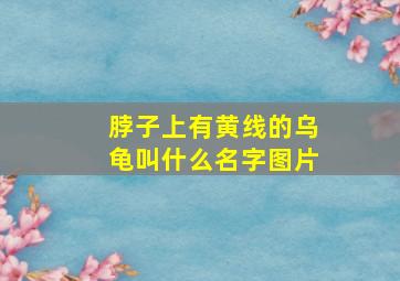 脖子上有黄线的乌龟叫什么名字图片