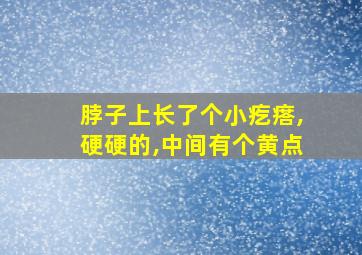 脖子上长了个小疙瘩,硬硬的,中间有个黄点