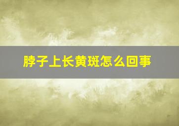 脖子上长黄斑怎么回事