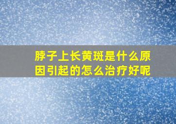 脖子上长黄斑是什么原因引起的怎么治疗好呢