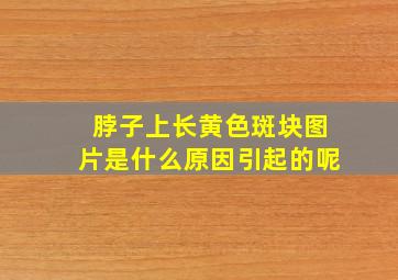 脖子上长黄色斑块图片是什么原因引起的呢