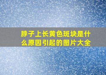 脖子上长黄色斑块是什么原因引起的图片大全