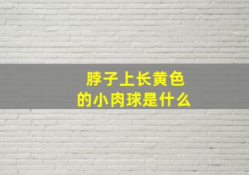 脖子上长黄色的小肉球是什么