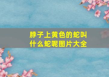 脖子上黄色的蛇叫什么蛇呢图片大全