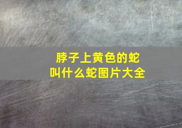 脖子上黄色的蛇叫什么蛇图片大全