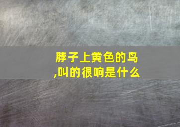 脖子上黄色的鸟,叫的很响是什么