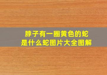 脖子有一圈黄色的蛇是什么蛇图片大全图解