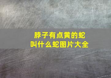 脖子有点黄的蛇叫什么蛇图片大全