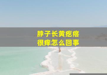 脖子长黄疙瘩很痒怎么回事