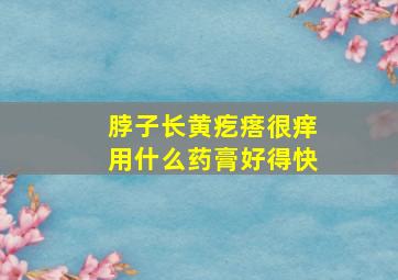 脖子长黄疙瘩很痒用什么药膏好得快