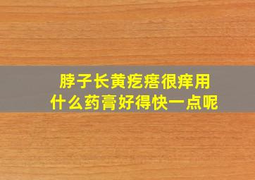 脖子长黄疙瘩很痒用什么药膏好得快一点呢