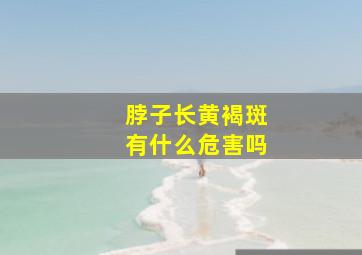 脖子长黄褐斑有什么危害吗