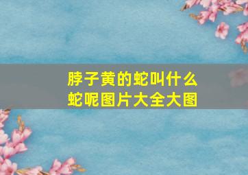 脖子黄的蛇叫什么蛇呢图片大全大图