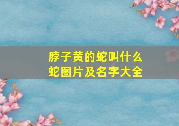 脖子黄的蛇叫什么蛇图片及名字大全