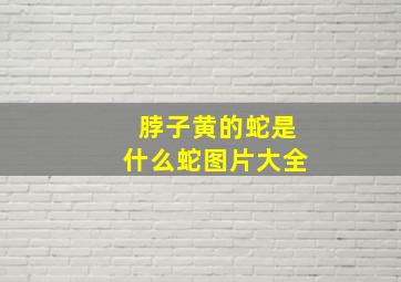 脖子黄的蛇是什么蛇图片大全