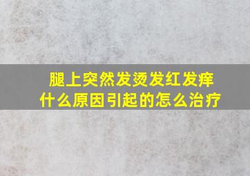 腿上突然发烫发红发痒什么原因引起的怎么治疗