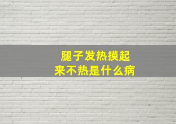 腿子发热摸起来不热是什么病