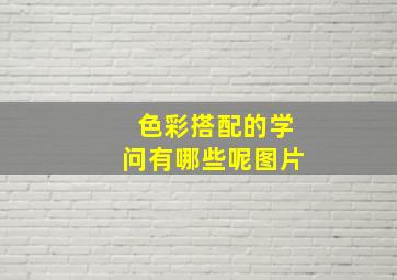 色彩搭配的学问有哪些呢图片