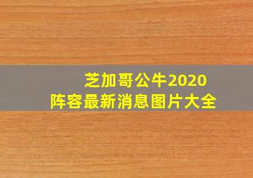 芝加哥公牛2020阵容最新消息图片大全