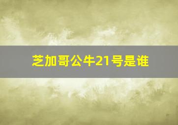 芝加哥公牛21号是谁