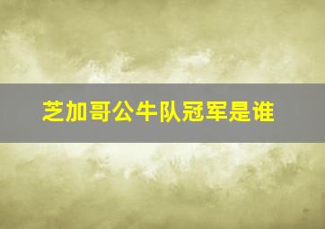 芝加哥公牛队冠军是谁