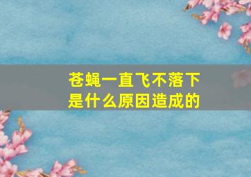 苍蝇一直飞不落下是什么原因造成的