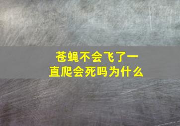 苍蝇不会飞了一直爬会死吗为什么