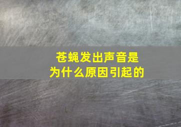 苍蝇发出声音是为什么原因引起的