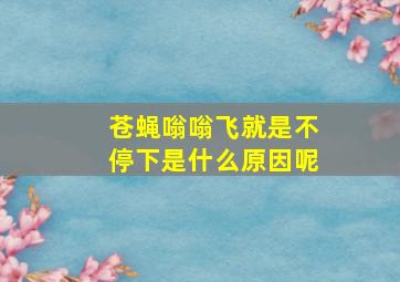 苍蝇嗡嗡飞就是不停下是什么原因呢