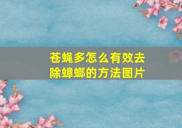 苍蝇多怎么有效去除蟑螂的方法图片