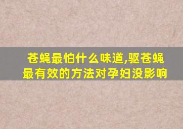 苍蝇最怕什么味道,驱苍蝇最有效的方法对孕妇没影响