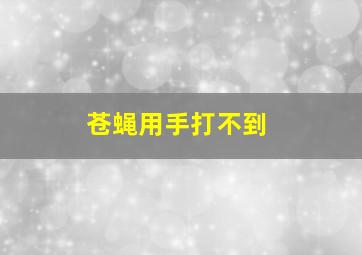 苍蝇用手打不到