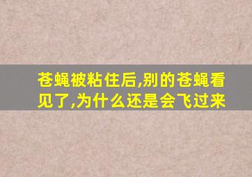 苍蝇被粘住后,别的苍蝇看见了,为什么还是会飞过来