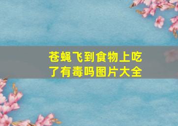 苍蝇飞到食物上吃了有毒吗图片大全