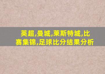 英超,曼城,莱斯特城,比赛集锦,足球比分结果分析