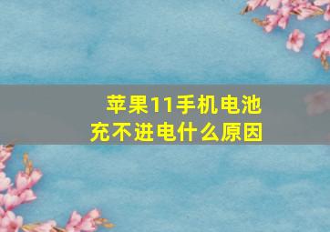 苹果11手机电池充不进电什么原因