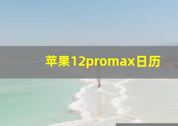 苹果12promax日历