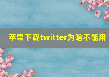 苹果下载twitter为啥不能用