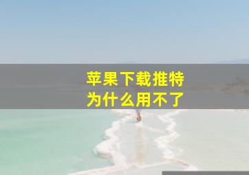 苹果下载推特为什么用不了